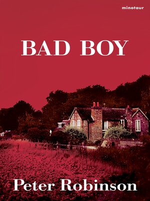 cover image of Bad boy